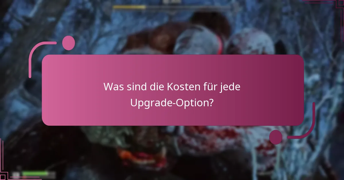 Was sind die Kosten für jede Upgrade-Option?