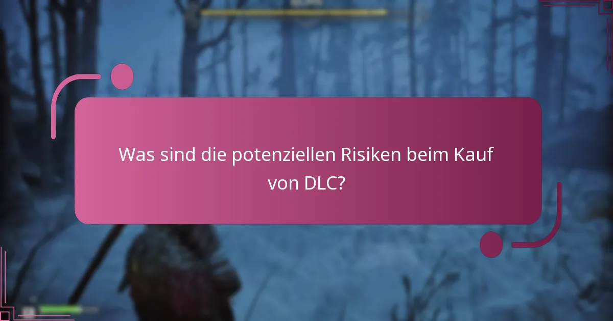 Was sind die potenziellen Risiken beim Kauf von DLC?