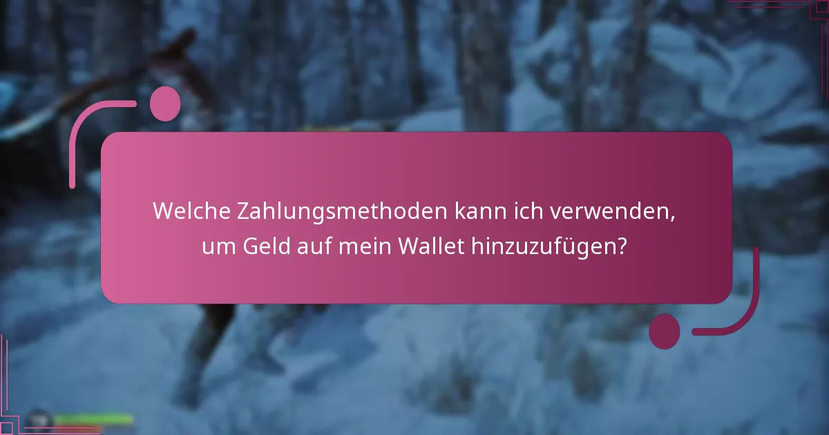Welche Zahlungsmethoden kann ich verwenden, um Geld auf mein Wallet hinzuzufügen?