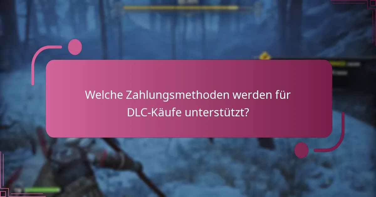 Welche Zahlungsmethoden werden für DLC-Käufe unterstützt?
