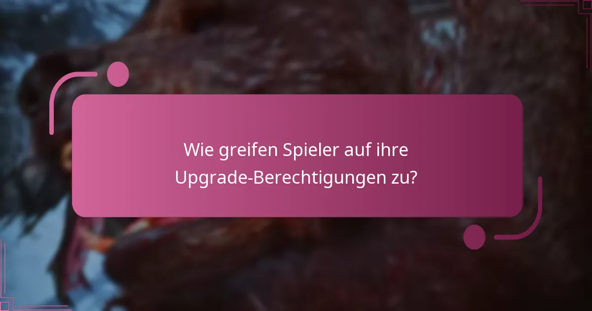 Wie greifen Spieler auf ihre Upgrade-Berechtigungen zu?